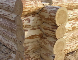 Строительство деревянного дома. Ручная рубка
