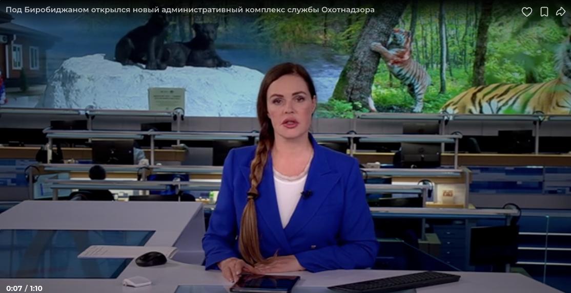 видео-превью